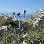 شقة Ein Haus In Der Sonne مالينسكا