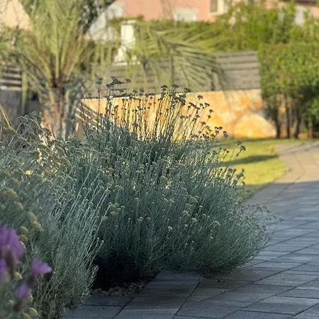 Ein Haus In Der Sonne Apartman *