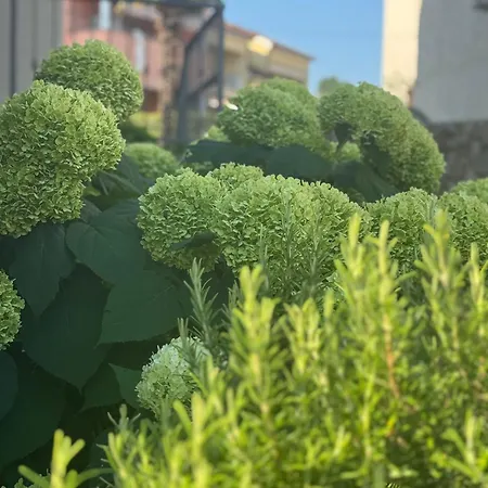 Ein Haus In Der Sonne Malinska